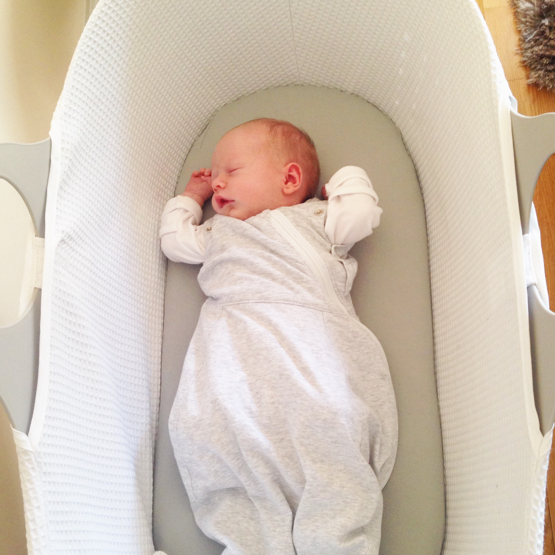 newborn sleeping in moses basket