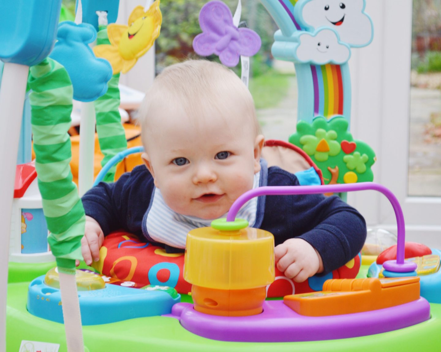 fisher price puppy's activity jumperoo