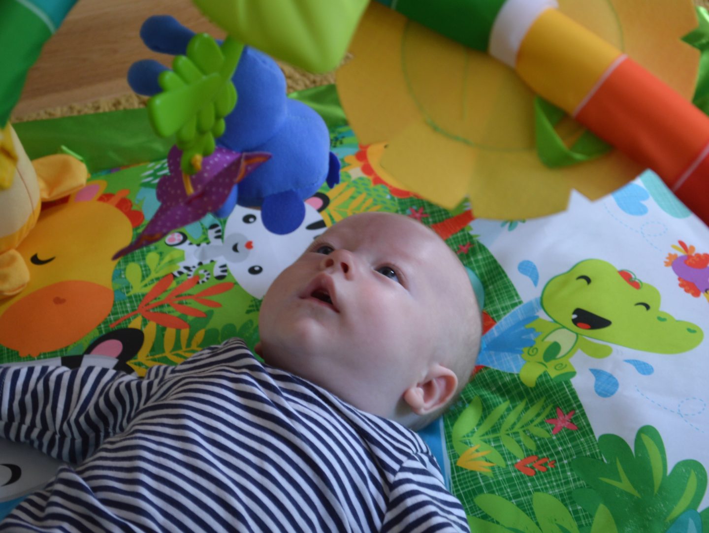 Fisher-Price Rainforest Deluxe Gym Review